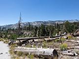 Mammoth Lakes 029